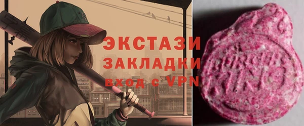 ECSTASY Гусев