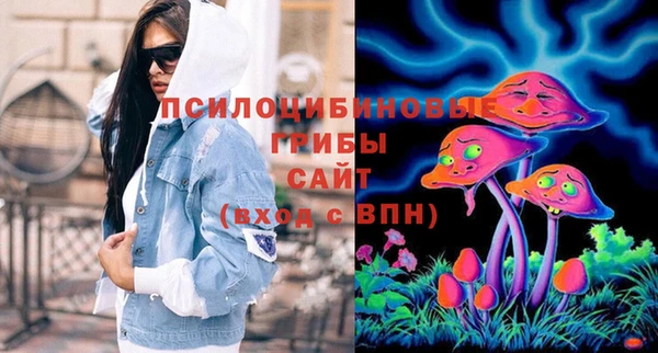 амф Дмитриев