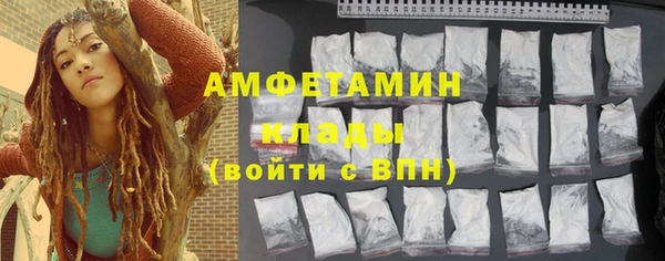 амф Дмитриев