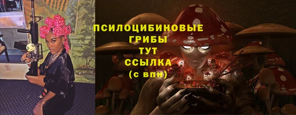 ешки Гусиноозёрск