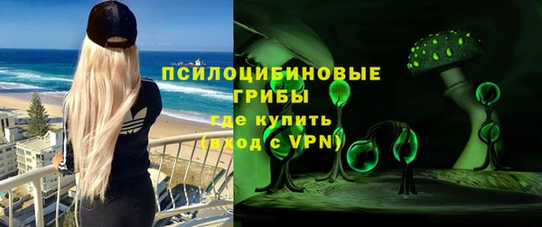 ECSTASY Гусев